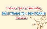 Bài 1 trang 73 Toán 8 Cánh Diều Tập 2